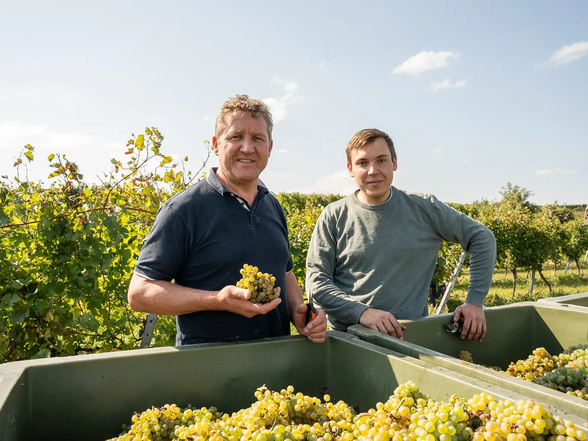 Vom Etikett bis zur Weinmesse