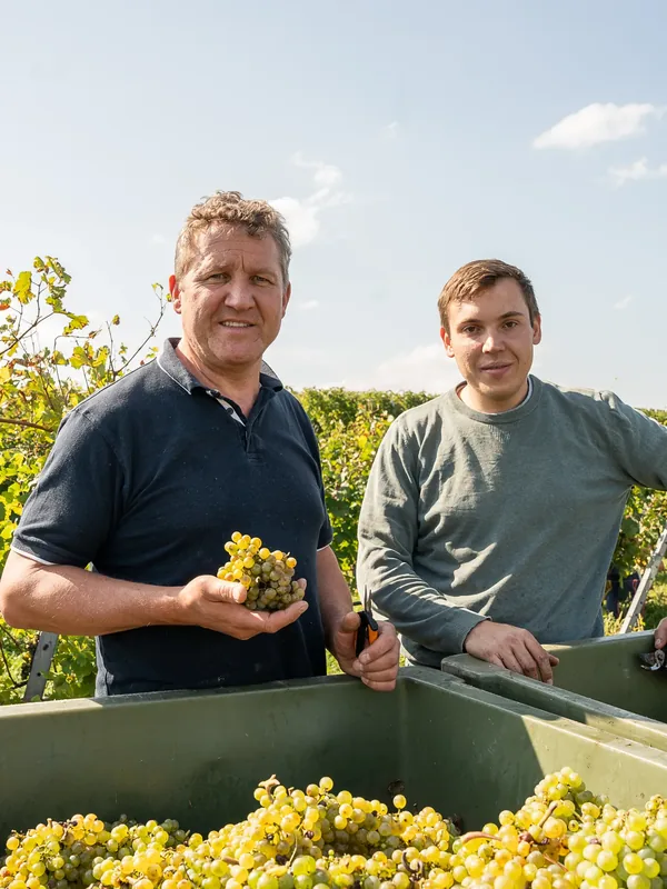 Vom Etikett bis zur Weinmesse